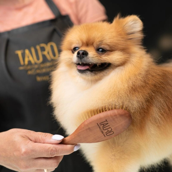 Tauro Pro Line Prestige Щітка дерев'яна зубці 20 мм з нержавіючої сталі, коричнева, овальна, мала, 18,5 х 4,8 см - 2