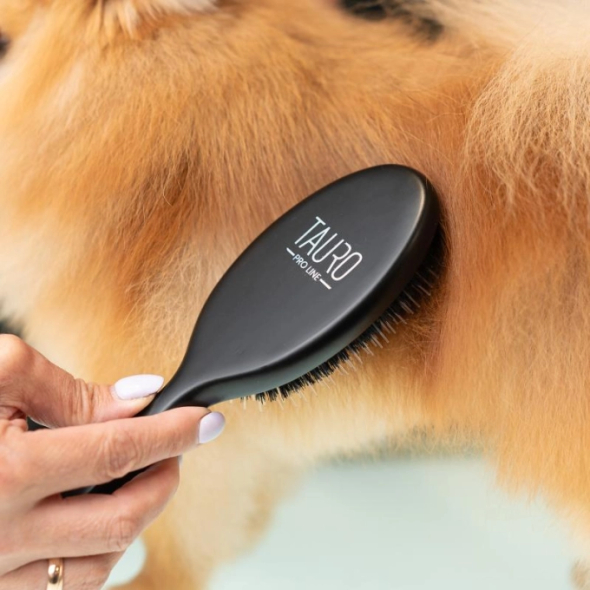 Tauro Pro Line Prestige Щітка з деревини бука і щетини кабана 16 мм з нейлоновими зубчиками, чорна, мала, 18 х 4,6 см - 4