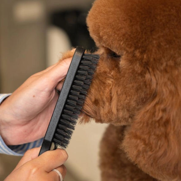 Tauro Pro Line Prestige Щітка з деревини бука і щетини кабана, чорна, довга, 23,5 см - 2