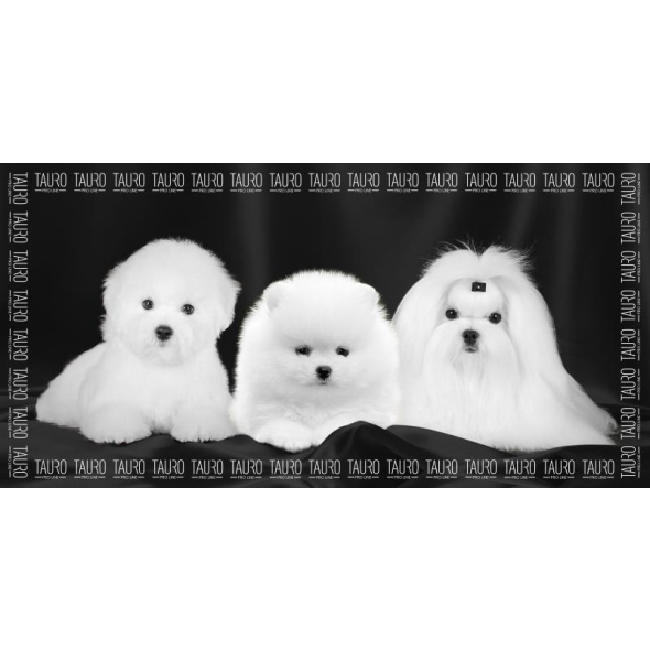 Tauro Pro Line Рушник з мікрофібри високопоглинальний з померанським шпіцем, мальтійською болонкою та бішоном фрізе, 80 x 160 см - 1