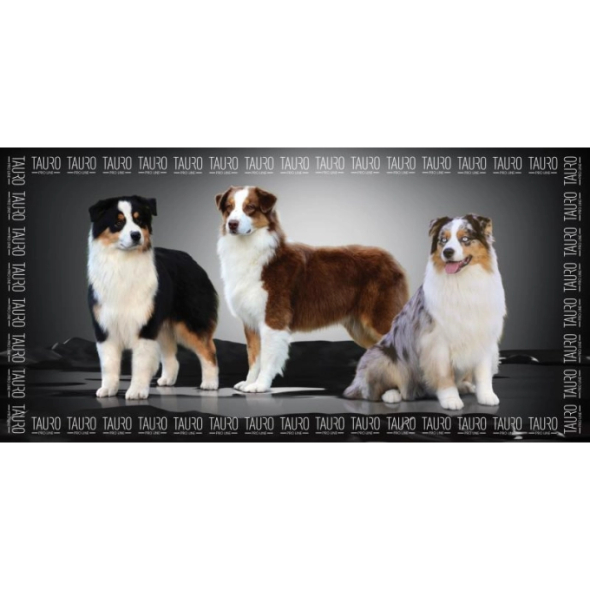 Tauro Pro Line Рушник з мікрофібри високопоглинальний з австралійськими вівчарками, 80 x 160 см - 1