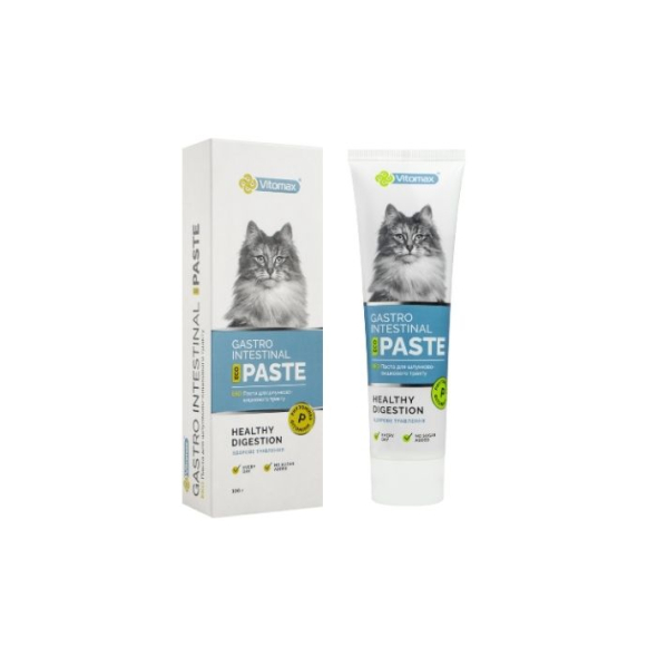 Vitomax Eco Паста для шлунково-кишкового тракту котів, 100 г - 1