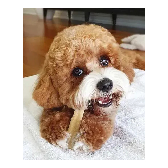 HealthyDoggo Chew Himalayan Cheese Гімалайський сир чхурпі для собак, розмір XL, 170 г - 5