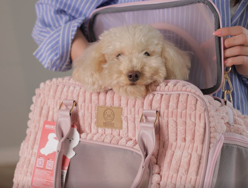 Video MISOKO Дорожня сумка для домашніх тварин, 51.5 x 25.5 x 27 см, зелена - 1