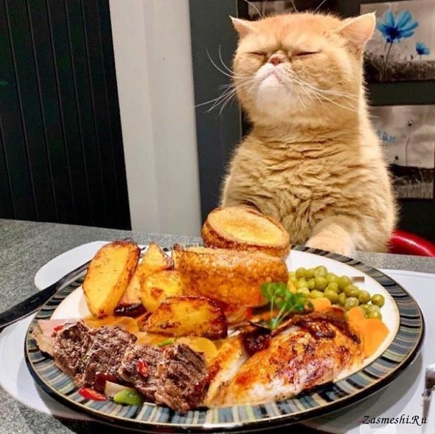 ласощі для котів