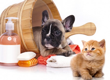 купити шампунь для собак та кішок