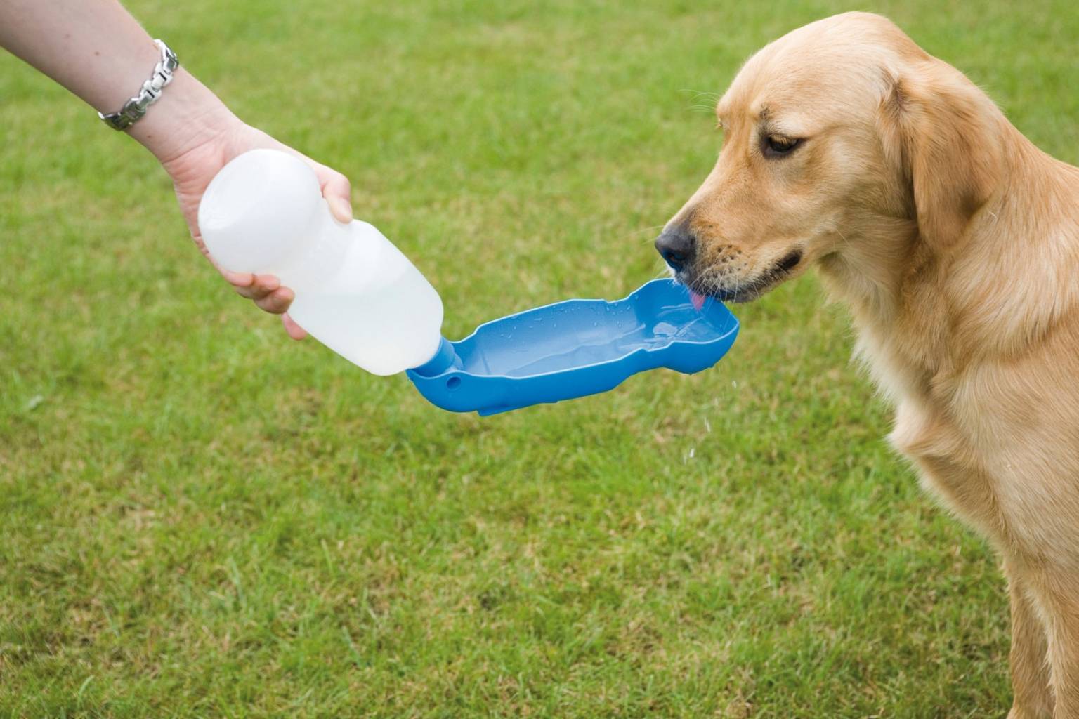 Автопоїлки та автогодівниці 