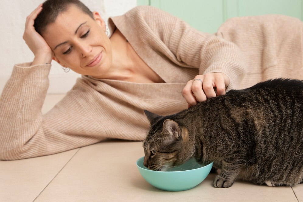 корми супер-преміум класу для котів корми супер-преміум класу для котів