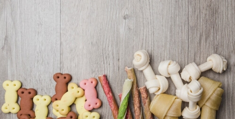 Які ласощі корисні для собак?