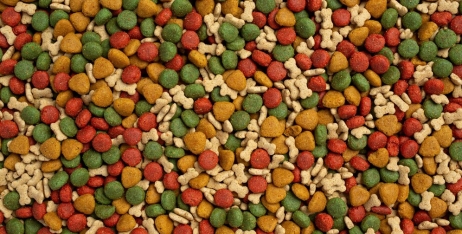 Відмінність кормів для котів і собак