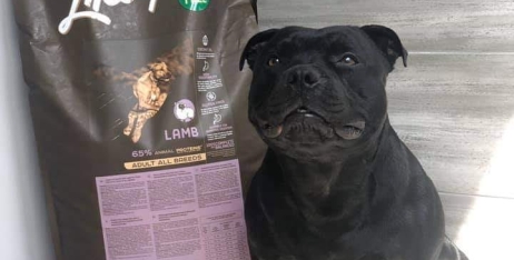 Вибір Кексика супер-преміум корм Lifestyle grainfree Lamb від компанії Nature's Protection 💚🔝