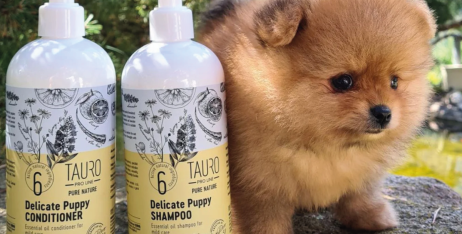 Ефірні олії у доглядових засобах для шкіри та шерсті: чому вони важливі?