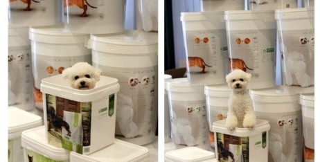 Хочете, щоб вихованець отримував насолоду від корму якомога довше?