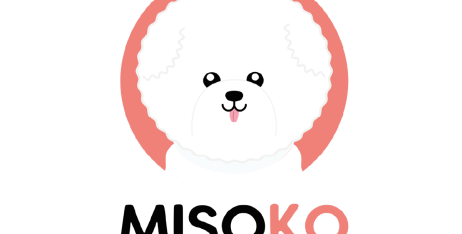 Багаторазові памперси для собак - екологічна новинка від Misoko&amp;Co