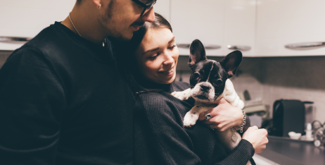 топ-10 порад початківцю власнику собаки