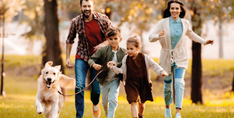 Вигулювання улюбленця: як правильно організувати прогулянки?