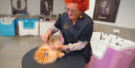 Як підстригти кігті собаці: покрокові поради від професійного грумера