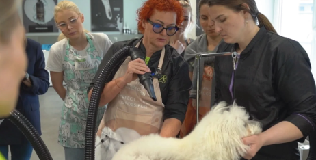 Як правильно сушити домашніх тварин після купання?