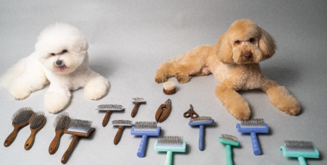 Яка щітка для вичісування найкраща для вашого вихованця?