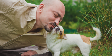 Які труднощі можуть з'явитися з маленькими собаками?
