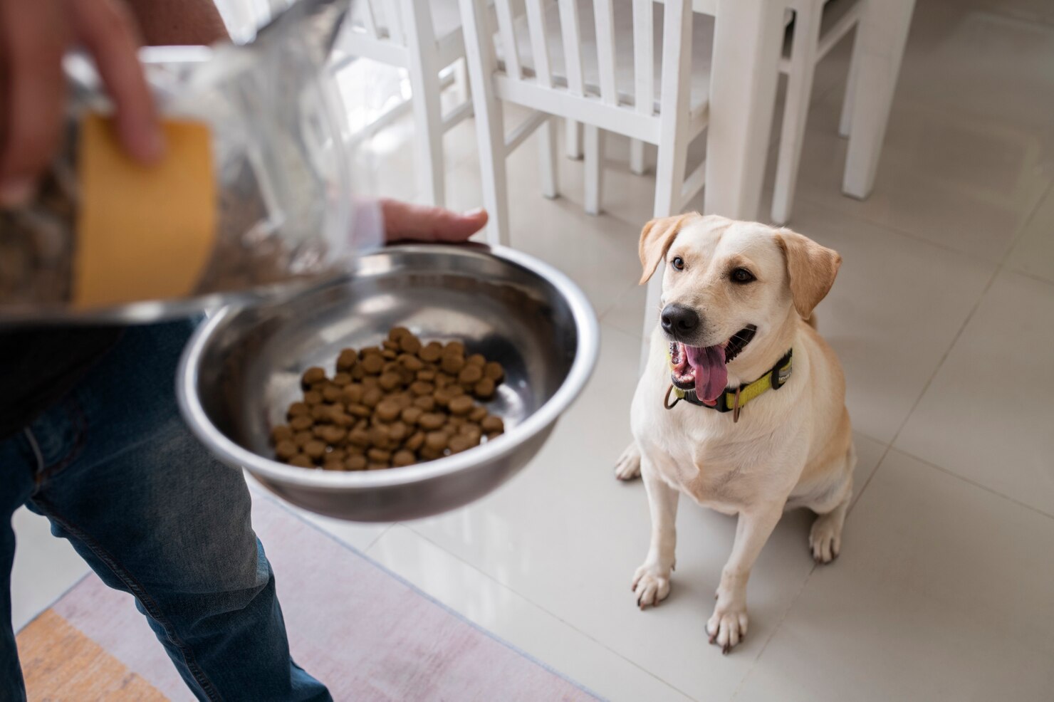 лучшие корма для собак от BestPet