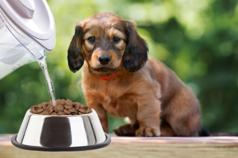 корм для цуценят nature's protection